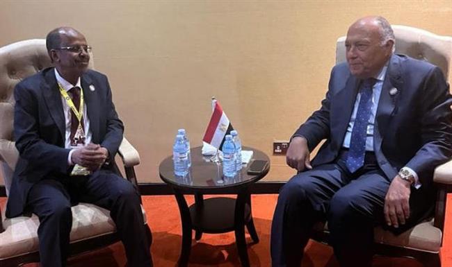 "شكري" ونظيره الجيبوتي يؤكدان خطورة التطورات الأخيرة ذات الصلة بالوضع في الصومال