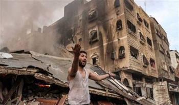 عضو  البرلمان الهولندي: ما تقوم به إسرائيل في قطاع غزة «عدوان وحشي»