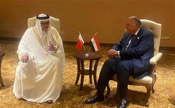   اجتماع مصري بحريني لبحث مستجدات الأوضاع الإقليمية