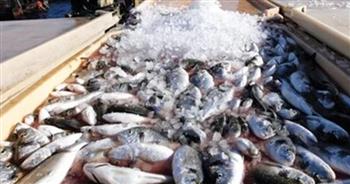   رئيس هيئة الثروة السمكية السابق: نتقدم بشكل كبير في الاستزراع السمكي