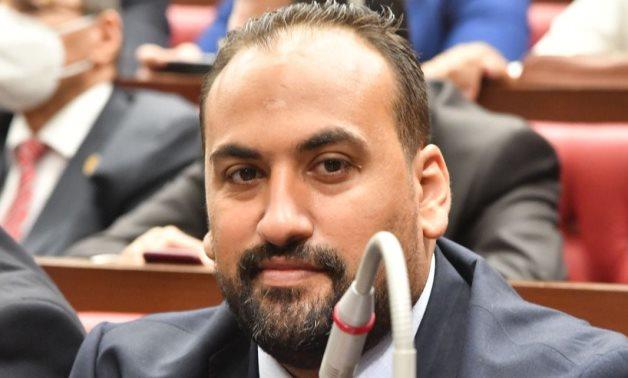 "الرشيدي": إعلان الحكومة تنفيذ توصيات الحوار الوطني يعزز من استراتيجيات التنمية
