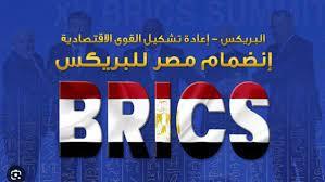   تنسيق روسي مصري لتعزيز التعاون الاقتصادي في إطار مجموعة بريكس