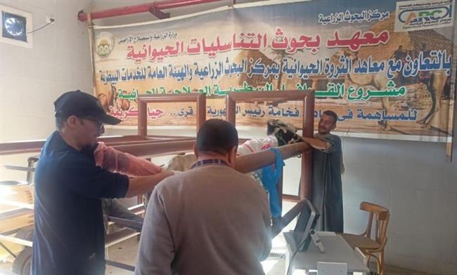 قافلة بيطرية مجانية لعلاج مواشي صغار المربين بمحافظة أسيوط