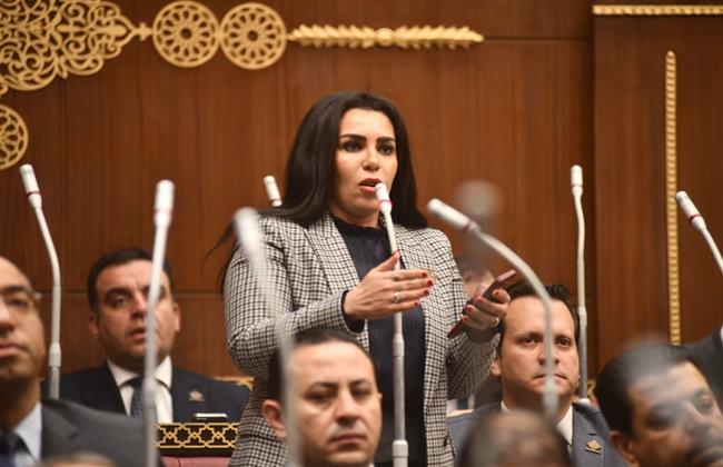 "نائبة التنسيقية": لابد من وضع خطة طموحة للسياحة تتواكب مع الجمهورية الجديدة
