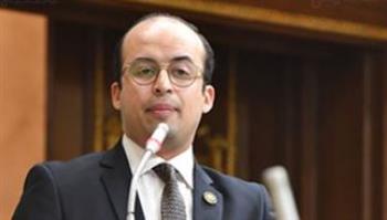 نائب التنسيقية: مصر دائما تقوم بدورها فى حماية أشقائها 