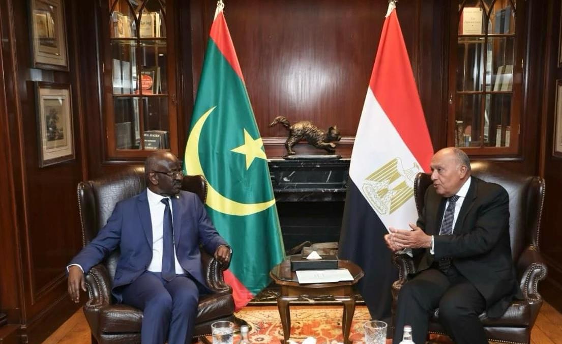 وزير الخارجية يعرب عن التطلع إلى تعزيز تعاون مصر مع الرئاسة الموريتانية للاتحاد الإفريقي