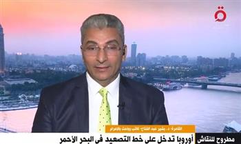   بشير عبد الفتاح: المهمة العسكرية الأوروبية في البحر الأحمر ليست الأولى