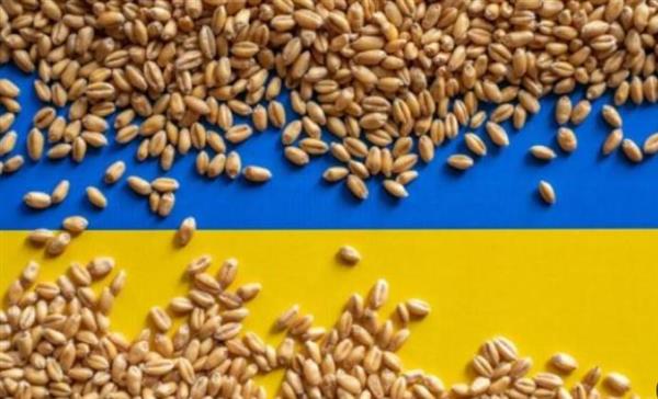 مسئول أوكراني يرجح تمكن بلاده من تصدير 40 مليون طن من الحبوب والبذور الزيتية