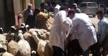   "الزراعة": علاج أكثر من 7500 رأس ماشية مجانا لدى صغار المربين بأسيوط