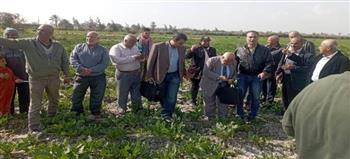   "الزراعة": الفرق الإرشادية الريفية للمحاصيل الشتوية تنفذ أنشطتها في 21 محافظة