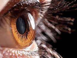   دراسة: سُمك شبكية العين يرتبط بزيادة خطر الإصابة بأمراض القلب 