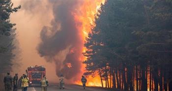   كولومبيا : حرق أكثر من 17 ألف هكتار من الغابات بسبب ظاهرة النينيو المناخية