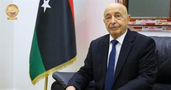 ليبيا تنتظر حكومة موحدة للإشراف على الانتخابات