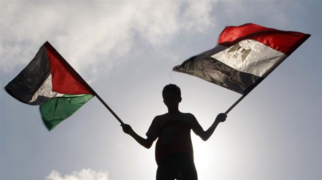 إعلاميون فلسطينيون لـ"دار المعارف": موقف مصر بارقة أمل للشعب الفلسطيني.. و"لن نتركها"