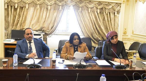 عضو "إفريقية النواب" تكشف تفاصيل اجتماع اللجنة بشأن انضمام مصر لـ البريكس