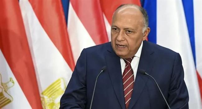 وزير الخارجية يؤكد لـ"النواب والشيوخ" الأمريكي رفض مصر تهجير الفلسطينيين