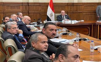تفاصيل اجتماع مشروعات النواب لوضع رؤية اقتصادية للنهوض بالمشروعات الصغيرة بمحافظة الغربية