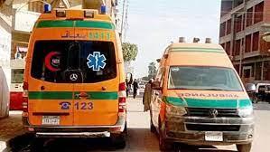 خلافات جيرة.. مصرع شقيقين في مشاجرة بالأسلحة البيضاء بـ كفر الشيخ