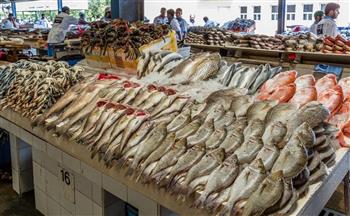   الاستقرار يخيم على أسعار الأسماك بالأسواق .. والبلطي يسجل 56 جنيهًا
