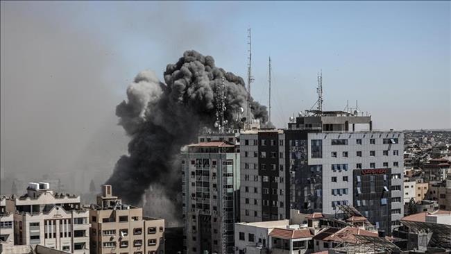 سلطة جودة البيئة: العدوان على غزة يدمر مكونات التنوع البيولوجي في القطاع