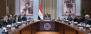   "الوزراء": 60 شركة عاملة في الاكترونيات في مصر وخطة لتطوير عملهم 