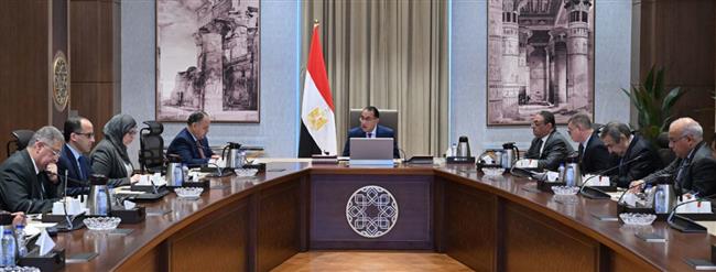 "الوزراء": 60 شركة عاملة في الاكترونيات في مصر وخطة لتطوير عملهم 