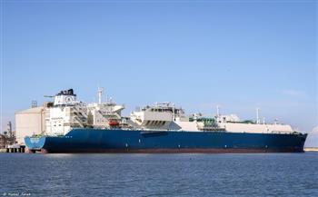 تداول 38 سفينة حاويات وبضائع عامة بميناء دمياط 