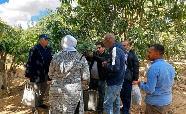 رئيس جامعة سوهاج يشارك في زراعة 1000 متر نجيل استمراراََ لتنفيذ توجهات الدولة نحو التحول الأخضر 