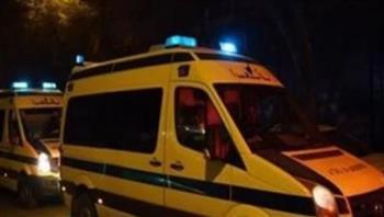 إصابة 17 عاملا في انقلاب سيارة ربع نقل بالوادي الجديد