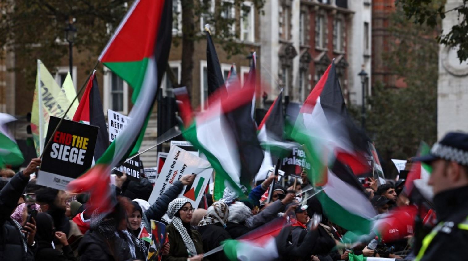 مظاهرات حاشدة في أنحاء أيرلندا تأييدا لفلسطين