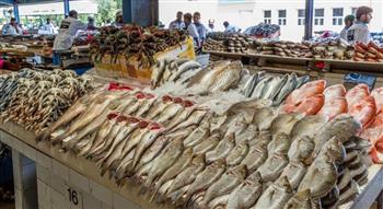   الاستقرار يخيم على أسعار الأسماك بالأسواق.. والبلطي يسجل 59 جنيها