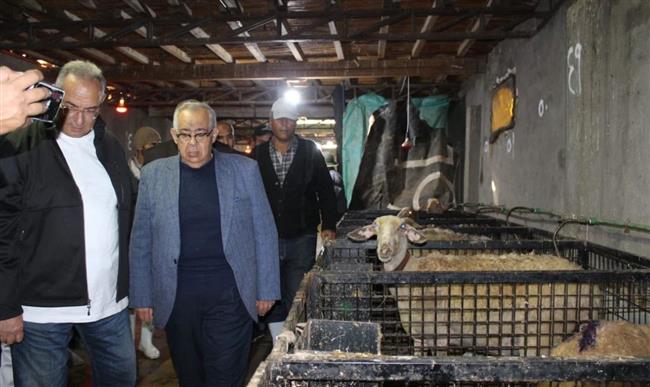 مدير معهد بحوث الإنتاج الحيواني يتفقد مزارع الفرما بـ شمال سيناء