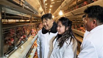   كيم يتفقد بصحبة "مدللته" مزرعة للدجاج شمالي البلاد