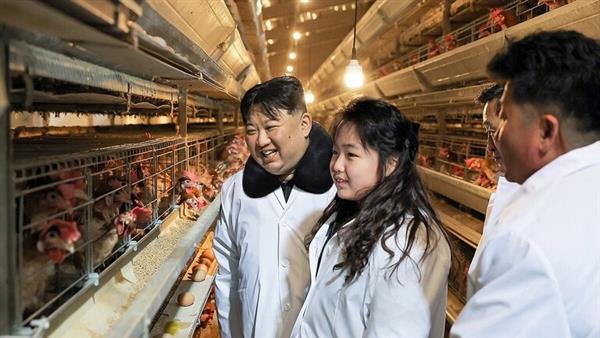 كيم يتفقد بصحبة "مدللته" مزرعة للدجاج شمالي البلاد