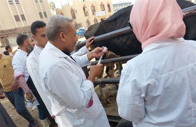 محافظة الجيزة: قوافل بيطرية وتوعوية بقرى "ميت القائد بالعياط والحلف الشرقى بأطفيح" 