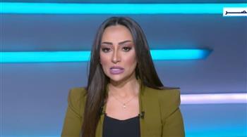 خبير علاقات دولية: القضية الفلسطينية كانت ستكون فى مهب الريح لولا التدخل المصرى