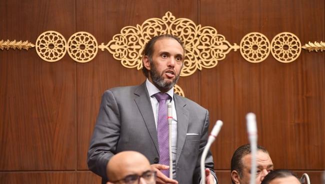 نائب التنسيقية محمد فريد يطالب بمزيد من الحوافز للقطاع الخاص للتوسع في إنشاء المدارس التكنولوجية
