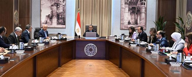 رئيس الوزراء يتابع توطين صناعة السيارات في مصر
