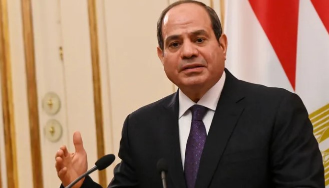 مصر والصومال يصدران إعلاناً سياسياً مشتركا عقب لقاء رئيسي البلدين
