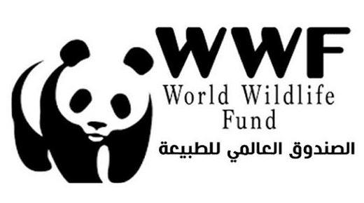 الصندوق العالمي للطبيعة يحذر من انهيار نظم بيئية مهمة