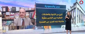   أستاذ علوم سياسية: العلاقات المصرية - السعودية متجذرة في عمق التاريخ 