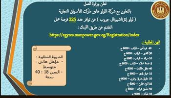   التقديم أونلاين.. "العمل" تعلن 225 فرصة عمل في شركة أسواق تجارية