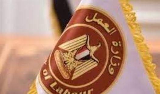 مديرية العمل بالدقهية تنظم ورشة لتأهيل كوادر السلامة المهنية 