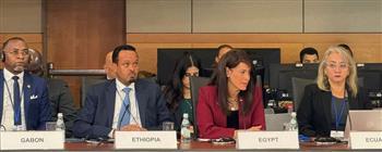 المشاط: قضية الأمن الغذائي تمثل أولوية قصوى لدى دول العالم