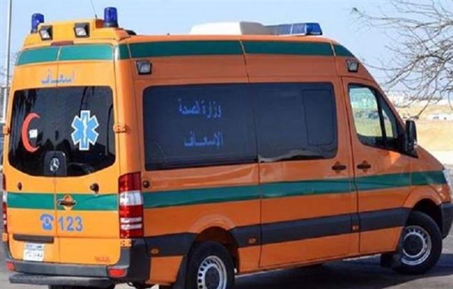 إصابة شاب بلدغة ثعبان فى الشرقية