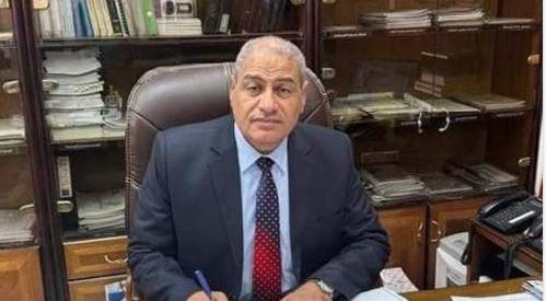 هناء الطنطاوي رئيساً لقطاع كهرباء القليوبية 