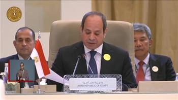 الرئيس السيسي: مصر ستقف ضد كل مخططات تصفية القضية الفلسطينية