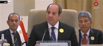   باحثة: قمة الرياض صوت جماعي للجهود العربية للتأثير في الساحة الدولية