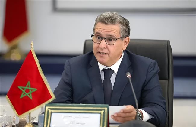 المغرب يؤكد ضرورة تقديم التزامات من "29 COP" لتسريع التحول البيئي