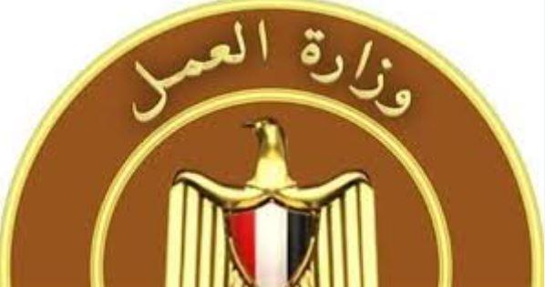 3088 فُرصة عمل جديدة في 36 شركة خاصة تنتظر شباب 8 مُحافظات